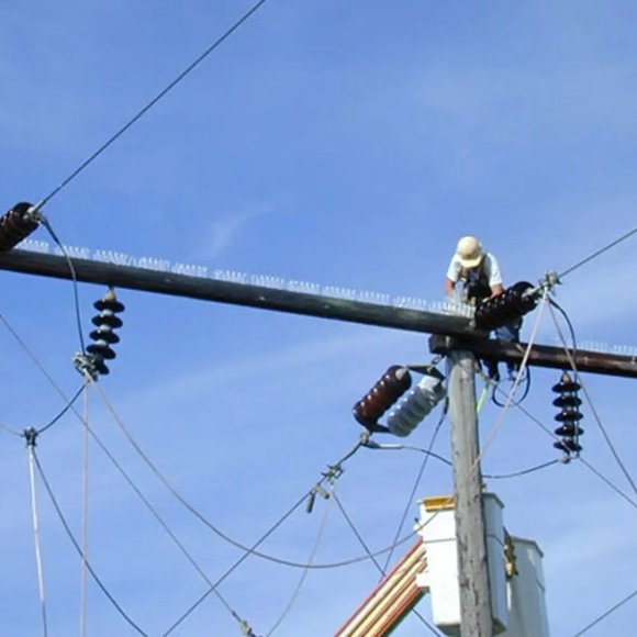 BIRD SPIKES - Harmless to Birds, 10' x 3" - Picture 3 of 7